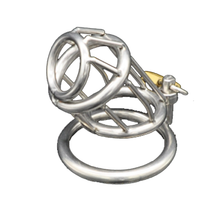 Load image into Gallery viewer, Behind Bars Chastity Cage