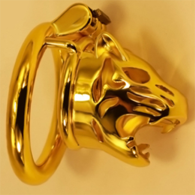 Tiger King Locking Chastity Cage – FB Boutique