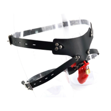 Load image into Gallery viewer, Resin Chastity Belt